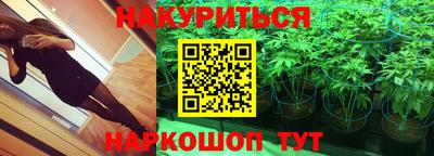 прущие грибы Чебаркуль