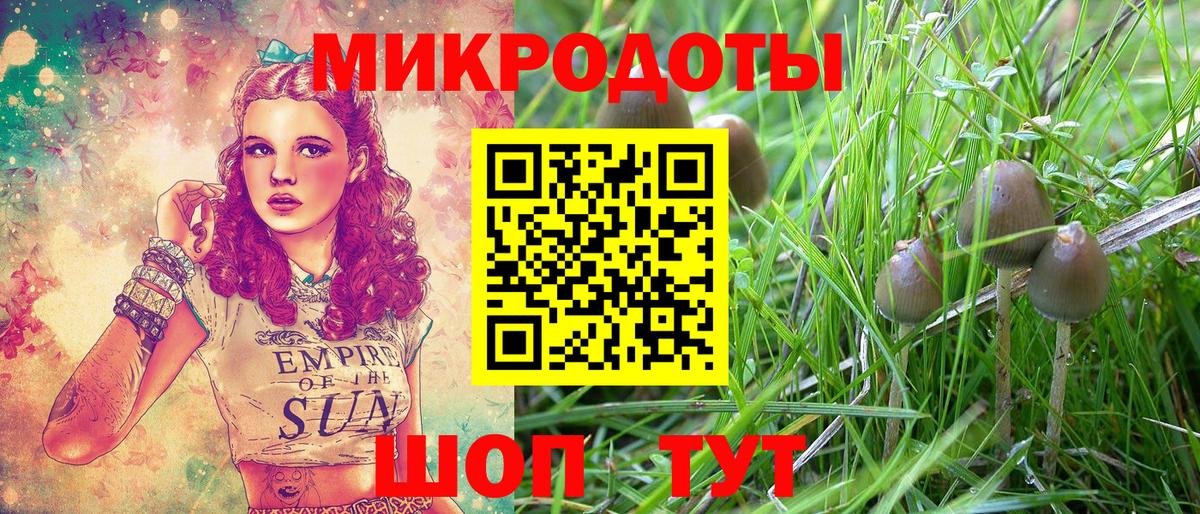 Новосибирск  Псилоцибиновые грибы Psilocybe  Псилоцибиновые грибы прущие грибы  Вход с VPN 